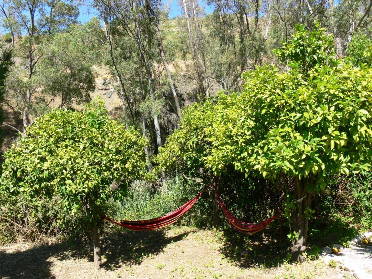 Vegan Guesthouse Finca Pereila Coin Exterior photo